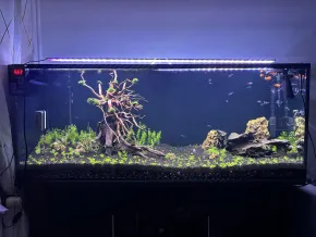 Akvárium 450L