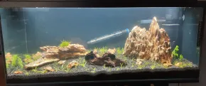 Divadlo pro kocky v2.0