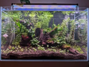 Aqua Style Optiwhite-60P v2