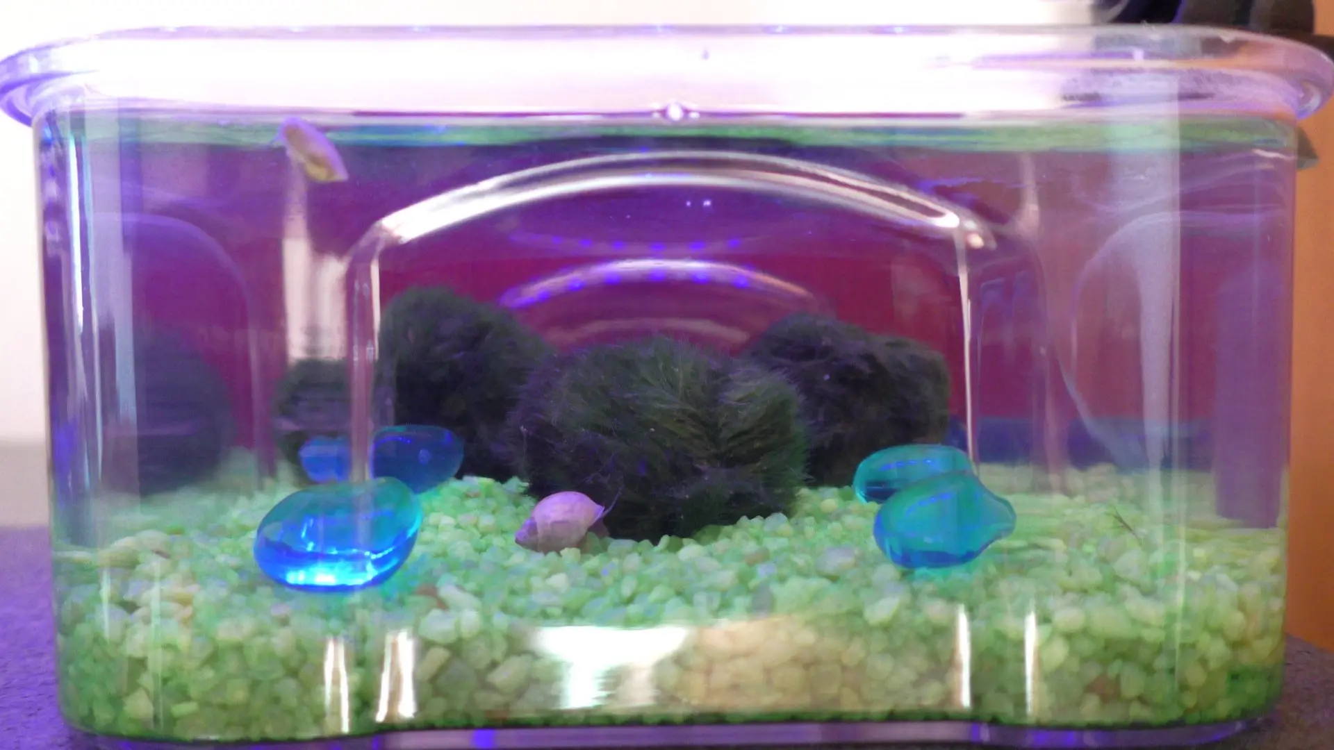 Prezentace