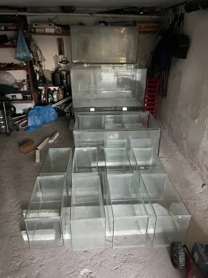 Pomalu začínám rozšiřovat ????