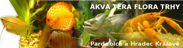 AKVATERAFLORA.cz