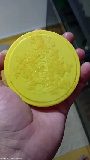 Dianema ocasopruhá | &copy; Michal Šebek