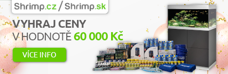 shrimp.cz